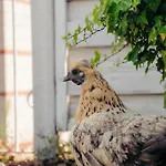 Living Am Carlsplatz Apartment