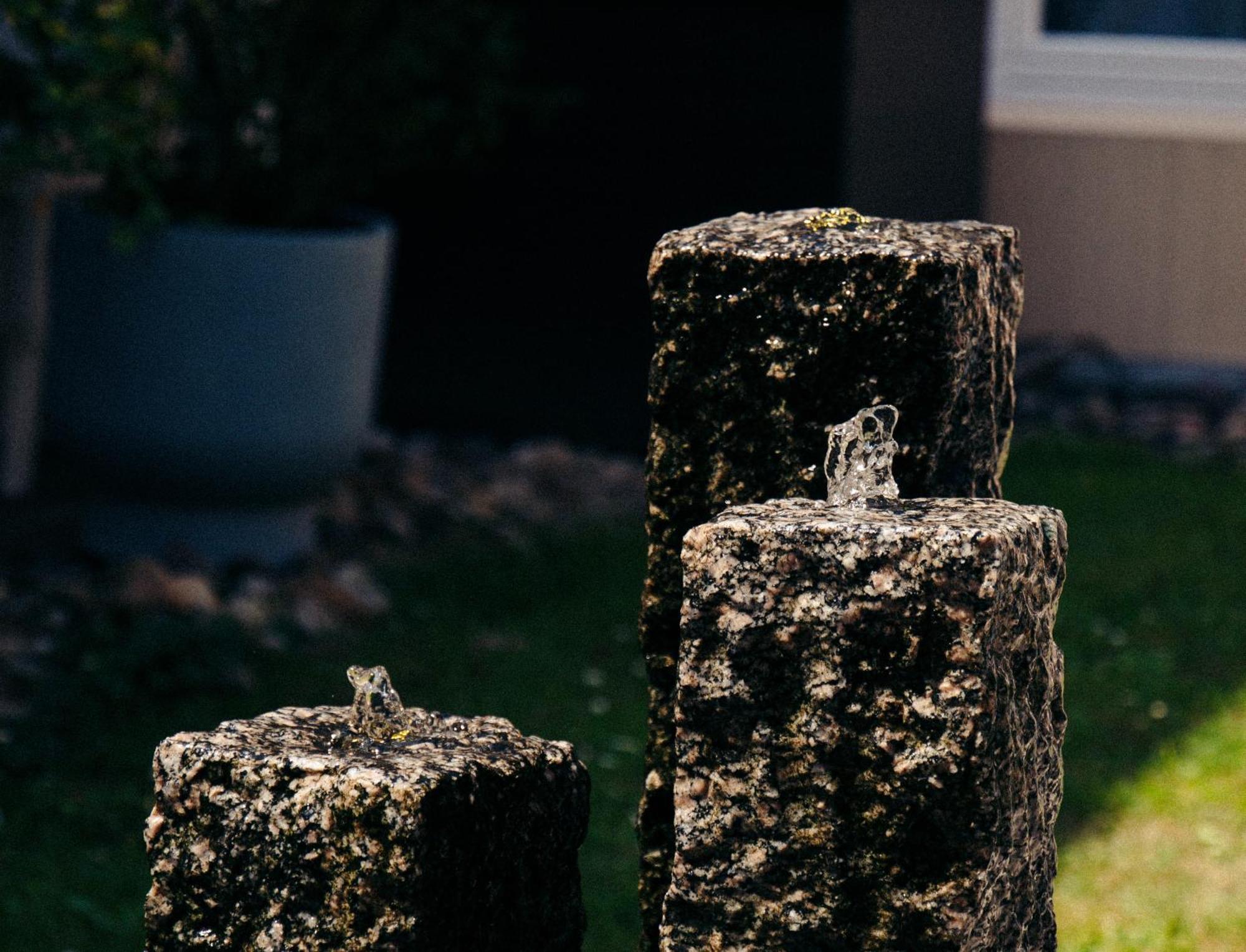 Living Am Carlsplatz *