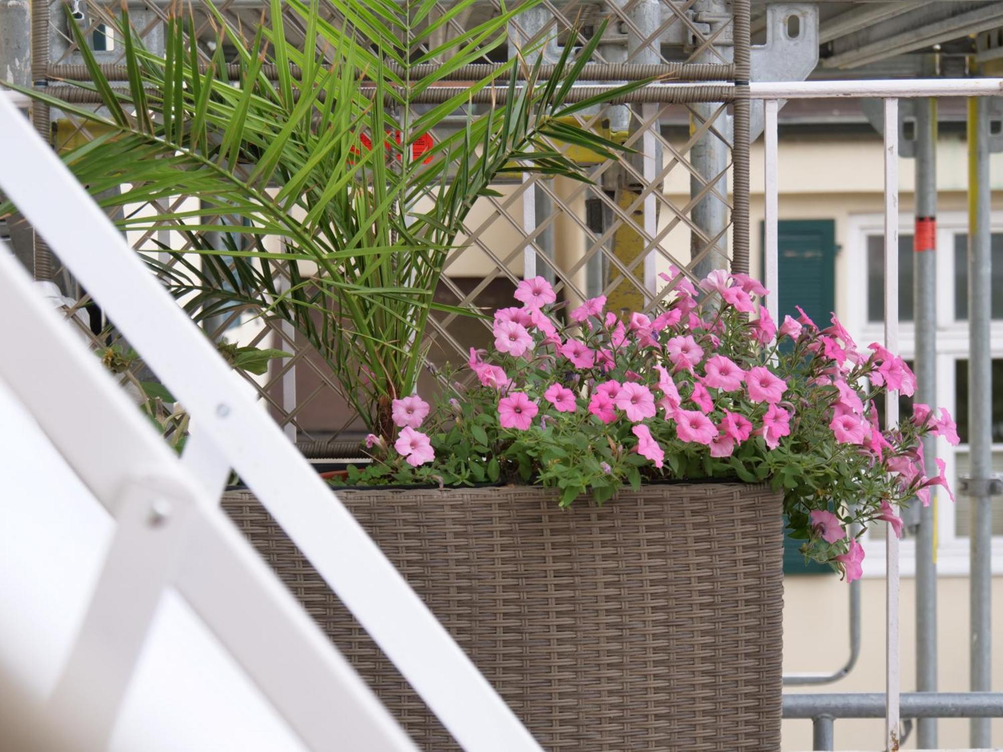 Appartement Living Am Carlsplatz *